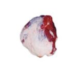 Friboi Brazilian Beef Topside 20kg (Approx.)