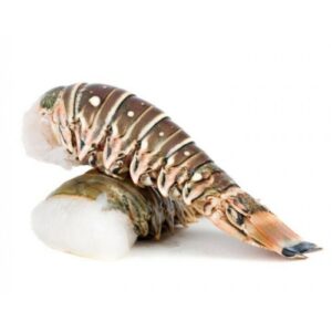 LobsterTail1kg10PCS