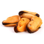 Mussels Meat (1 kg)
